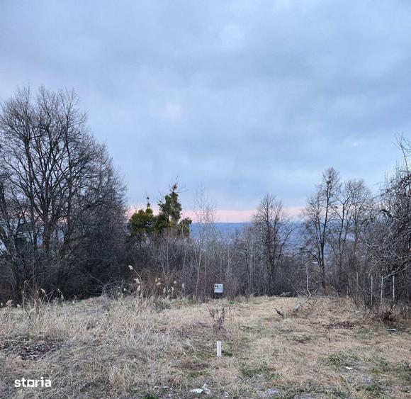 Teren Intravilan Feleacu - 1