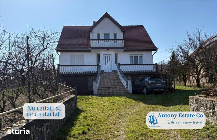 Antony Estate | Casa cu Livada proprietate deosebita, 300 pomi fruct - 12