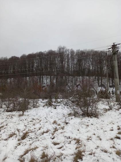 Vand teren transfagaras cartisoara - 3