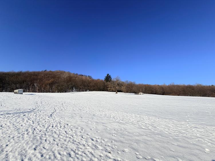 Teren de vanzare pentru investitie - 3