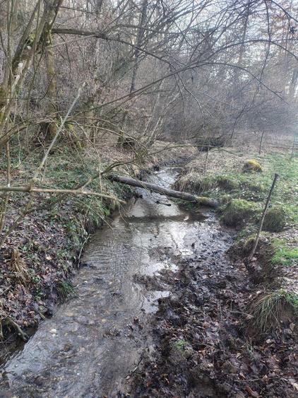 Casa cu teren 2 hectare intravilan - 4