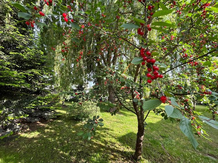 VANZARE CASA VILA - 4