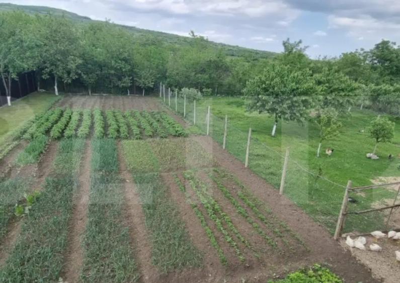 Casa individuala, 4 camere, 200 mp si teren 1800 mp, Magurel - 12