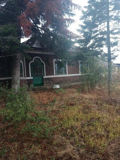 Radovanu, Calarasi, casa renovabila cu teren - 4