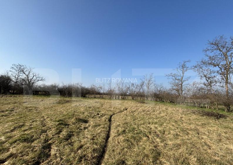 Teren intravilan, 500 mp, zona Beregsau Mare