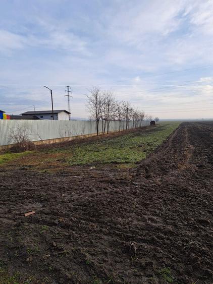 Teren de vanzare intravilan Urlati - 3