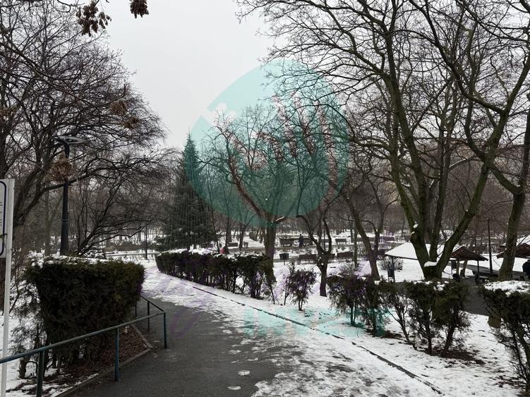 3 camere " LA CHEIE" cu vedere catre Parcul Plumbuita - 19