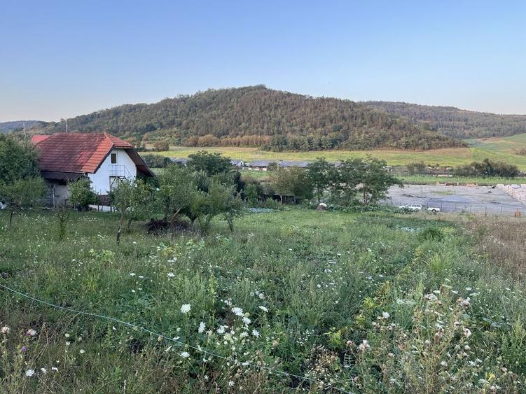 Vand Teren intravilan - 4