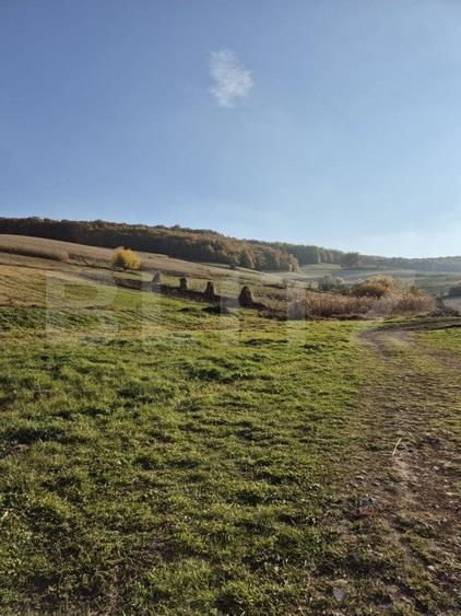 Proprietate de vanzare in Bardesti cu 1900 mp teren - 11