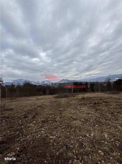 Teren cu 2 izvoare, Prundul Bargaului - 9