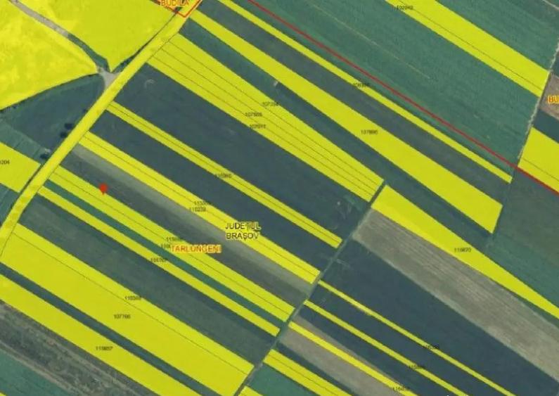 Cota parte 1/2 teren Tarlungeni, ID: R2373793 - 8