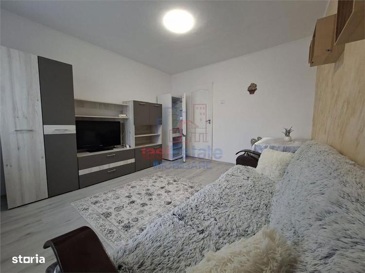 Garsoniera de inchiriat Pacurari - Stindardului - 6