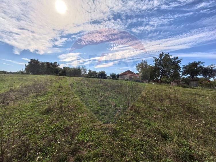 Teren 5,600mp Finteusu Mic / Strada Principala - 6