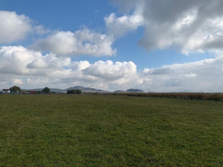 Teren de vanzare - 4