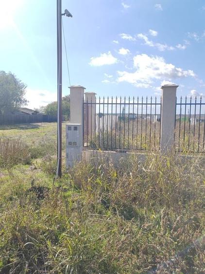 Gagu Dascalu teren ideal pentru investitie zona in dezvoltare - 6