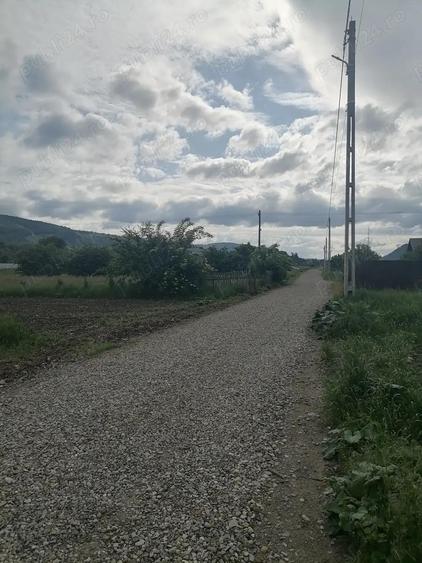 Teren 3000 mp intravilan Viisoara - 2