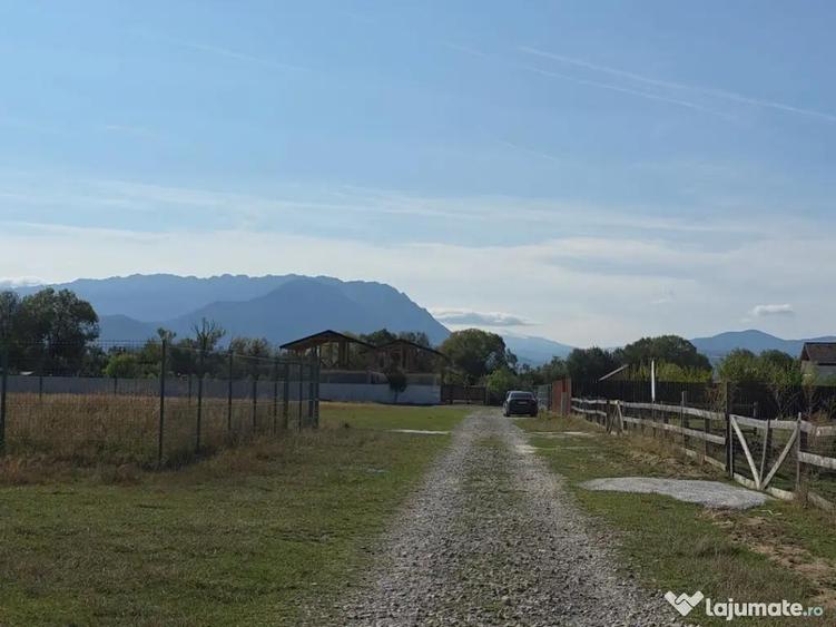 Teren Intravilan 1000mp Ra?nov Glajarie, Curent la poarta, Acte 2026 - 2