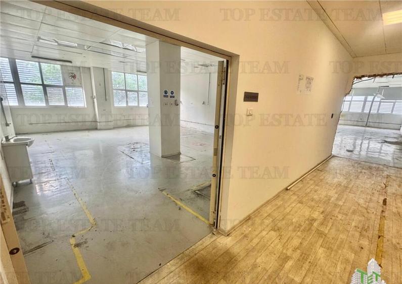 Spatiu industrial de inchiriat Central / Vitan - 14