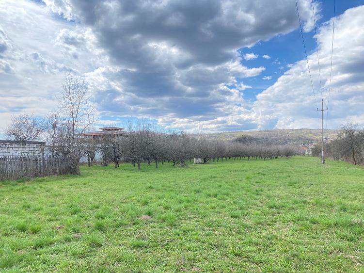 Teren intravilan 7000 mp - 14