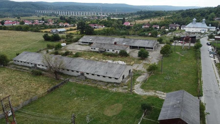 Hale de vanzare in comuna Ciofrangeni, jude? Arge?. - 6