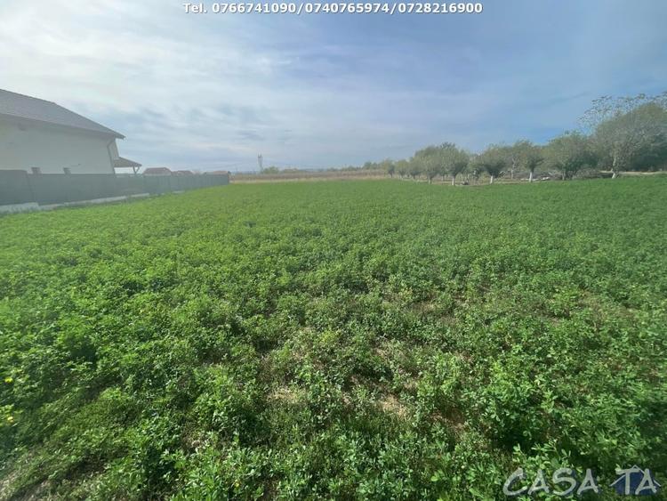 Teren Intravilan 1000 mp, Balesti - Ceauru - 2