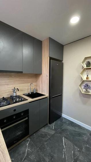 De vanzare apartament cu o camera in zona Aradului - 3