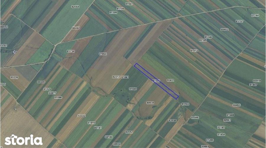 Teren Slobozia, extravilan, Arges, ID: R2980193 - 3