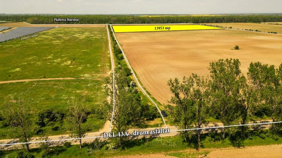 Teren intravilan 13953 mp Răcari lângă Pădurea Măriuța - oportunitate investiție - 3