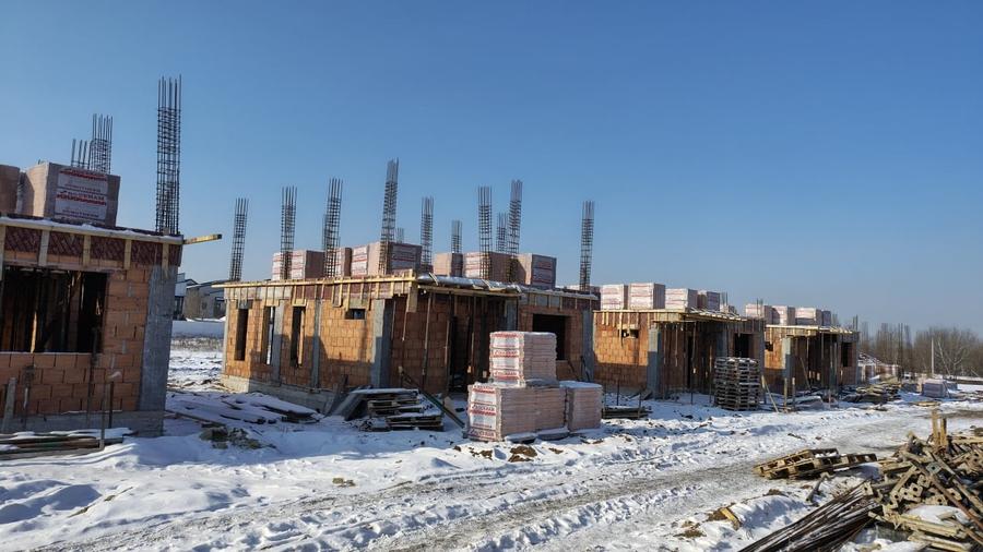 Vile individuale padurea Rosu - 3