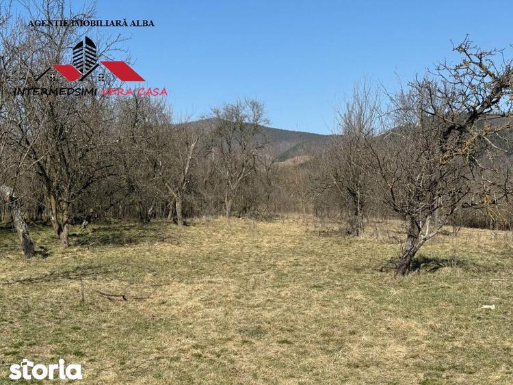 Casa si anexe cu un teren de 7701 mp de vanzare in Stauini Jud Alba - 9