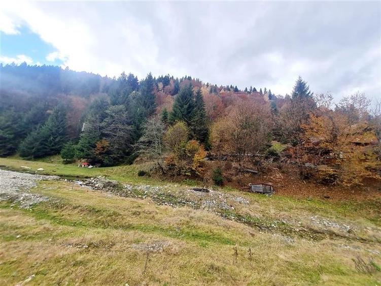 Parcela urbanizabila spectaculoasa,4.600 mp, priveliste emblematica:Piatra Craiu - 16