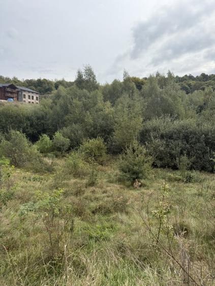 Teren 971 MP, intrare Salicea cu autorizatie , Casa Individuala - 4