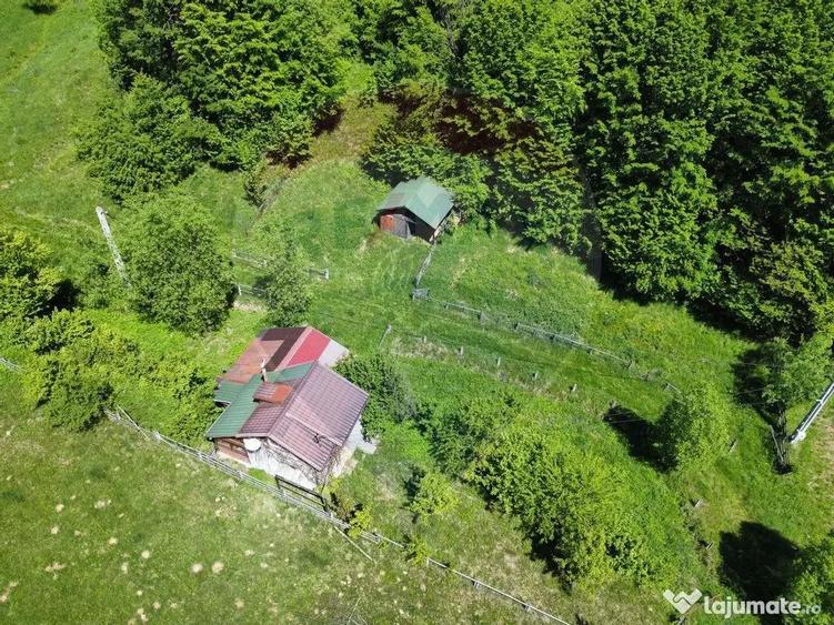 Comision 0%! Proprietate in natura, priveliste superba, S... - 2