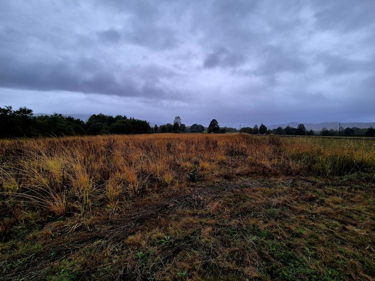 Comision 0%, teren extravilan 12497 mp Sinca Noua - 7