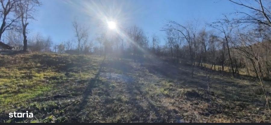 Teren de vanzare Poiana Campina - 4