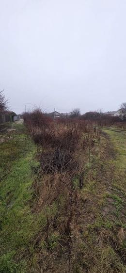 Teren 1 decembrie 2300 MP - strada Rasaritului - 3