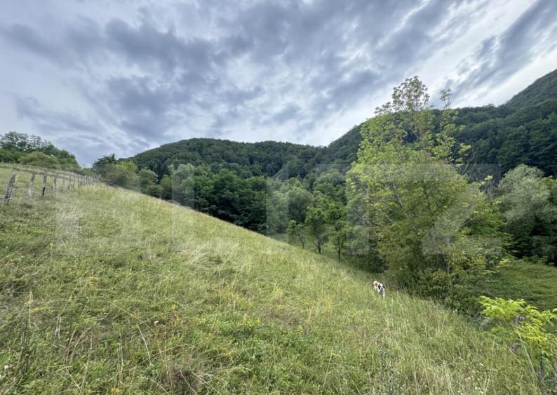 Teren extravilan 23.376 mp, in apropiere de Brad - 3