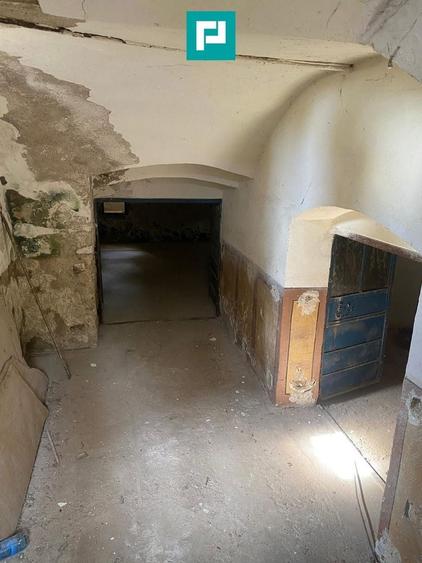 Conac nobiliar de secol XIX cu 8 camere în Maciova - 34