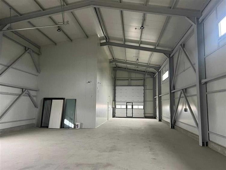 Vanzare depozit/hala/spatiu industrial Domnesti - Centura - 1