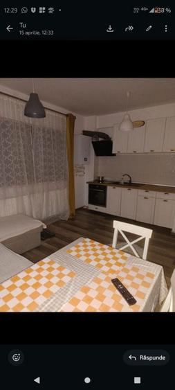 Apartament 2 camere Damila-Capsunarie - 4