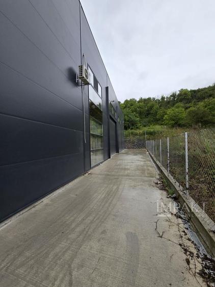 Inchiriere hala/show room/Spatiu comercial Cluj-Baciu - 4