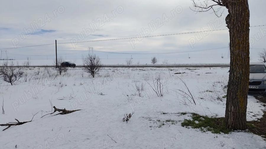 INCHIRIEZ teren in Frumusani - 6