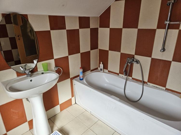 Două case individuale, P+M, construcții 2002/2007, în Giroc, comision 0% - 31