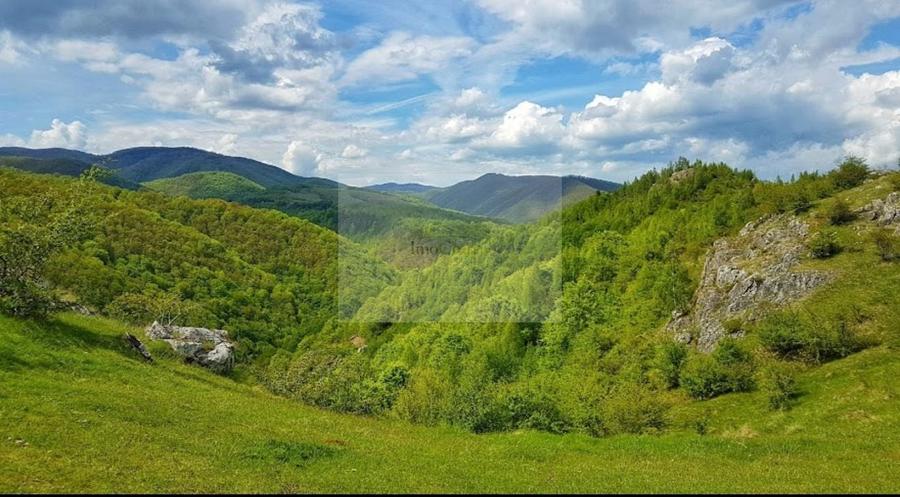 Proprietate cu potențial pensiune – sat Masca, 45 km Cluj - 10