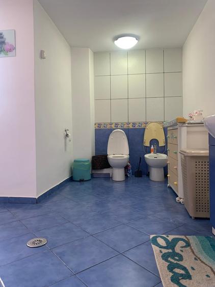 Vanzare Vila Pipera Iancu de Nicolaie - 18