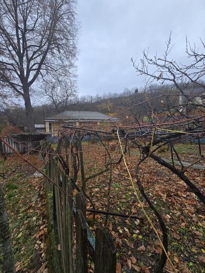Casa batraneasca cu teren 1000mp - 7