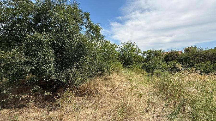 REL4001178 Teren I De Vanzare I Domnesti - 1