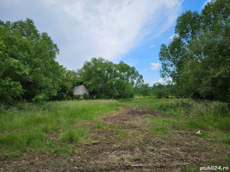 Teren de vanzare intravilan Com Fardea Jud Timis - Langa lacul Surduc - 3