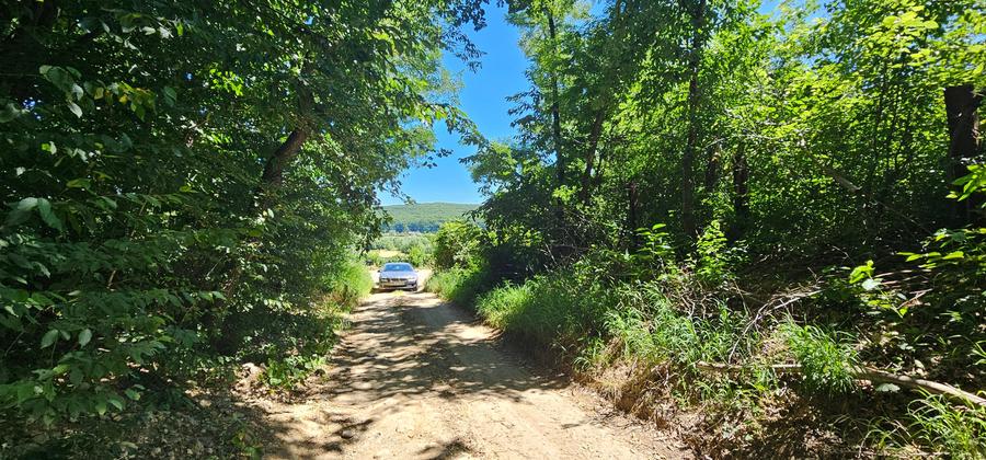 Vand de constructii situat la sosea in Tropinii Noi, cu PUZ, - 6