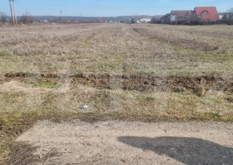 TEREN INTRAVILAN CONSTRUCTII - 1